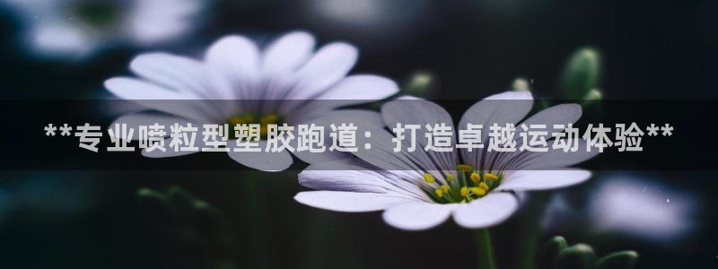 谈球吧体育综合台：**专业喷粒型塑胶跑道：打造卓越运动体验*