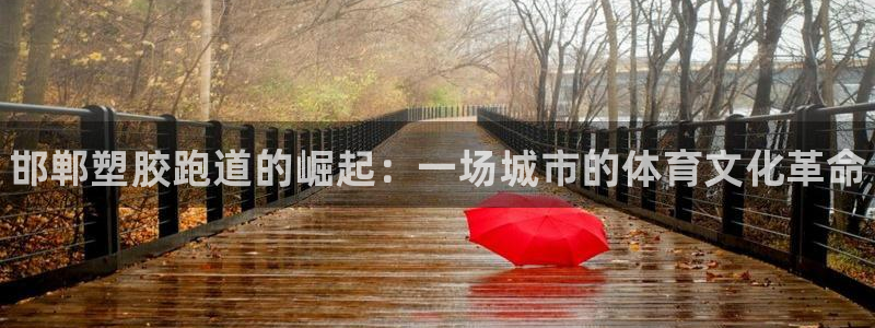 谈球吧的聊天软件有哪些：邯郸塑胶跑道的崛起：一场城市